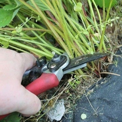 Обновление товаров и услуг в городе
 Ленск