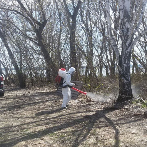 Последние изменения в городе
 Камышин