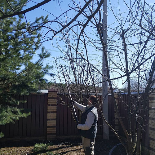 Обновление товаров и услуг в городе
 Егорьевск