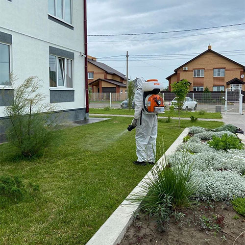 Провести дезинфекцию Театральная-Л