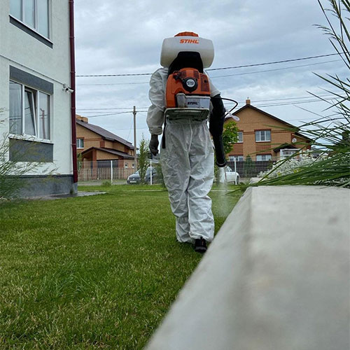 Обновление товаров и услуг в городе
 Нерюнгри