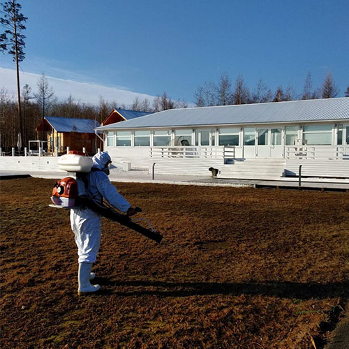 Новые товары и услуги в городе
 Лосино-Петровский