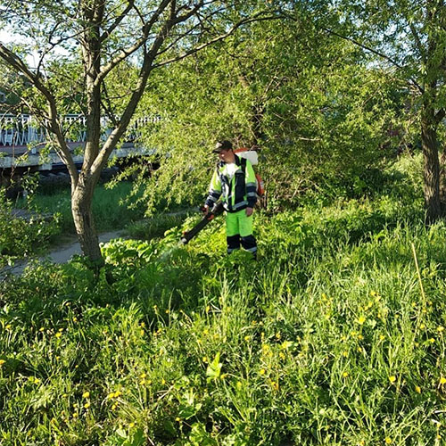 Новые товары и услуги в городе
 Кукмор