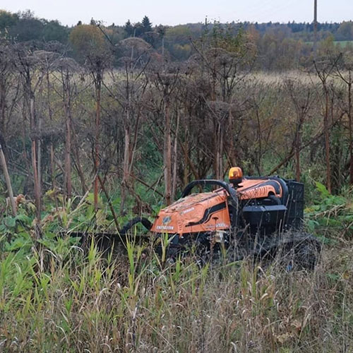 Обновление товаров и услуг в городе
 Мамоново