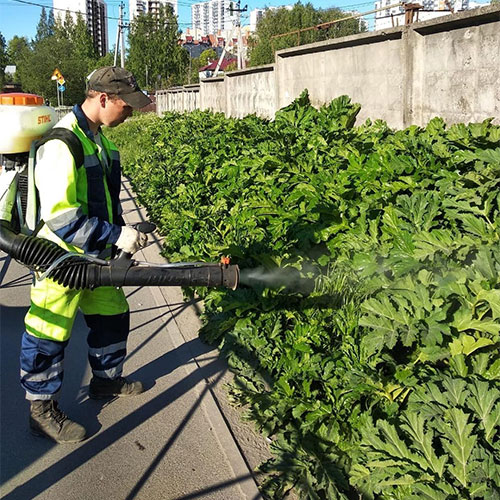 Последние изменения в районе метро
 Чкаловская