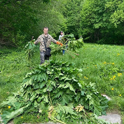 Последние изменения в районе
 Рыбацкое-С