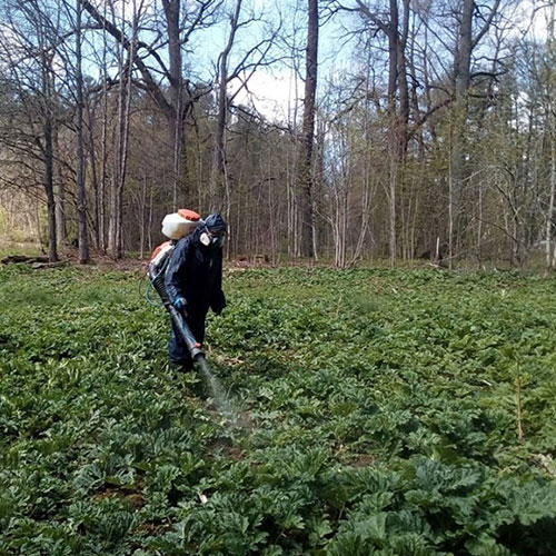 Обновление товаров и услуг в городе
 Усть-Джегута