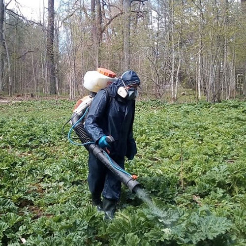 Новые товары и услуги в городе
 Брянск