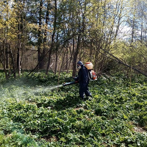 Последние изменения в городе
 Клинцы