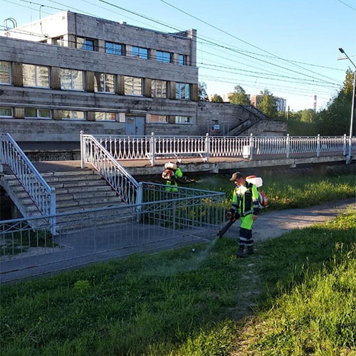 Обновление товаров и услуг в районе
 Дзержинский-М