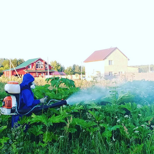 Обновление товаров и услуг в районе
 Королёв-М