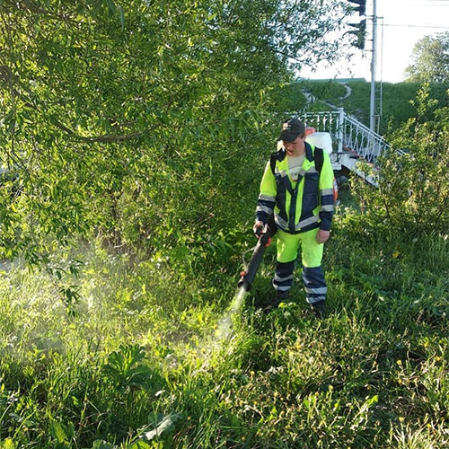 Обновление товаров и услуг в районе метро
 Жулебино