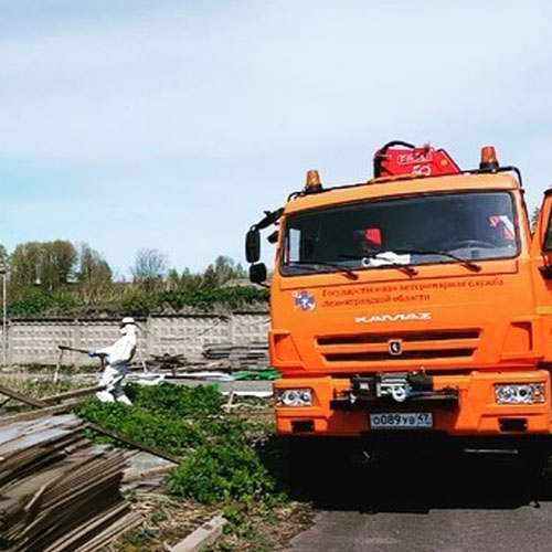 Новые товары и услуги в городе
 Химки